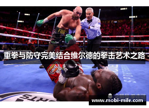重拳与防守完美结合维尔德的拳击艺术之路