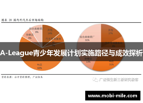 A-League青少年发展计划实施路径与成效探析