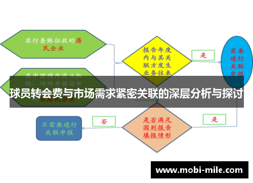 球员转会费与市场需求紧密关联的深层分析与探讨