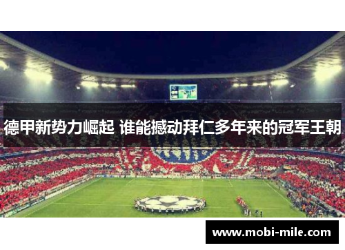 德甲新势力崛起 谁能撼动拜仁多年来的冠军王朝