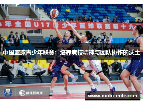 中国篮球青少年联赛：培养竞技精神与团队协作的沃土
