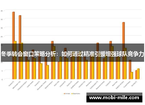 冬季转会窗口策略分析：如何通过精准引援增强球队竞争力