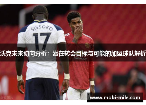 沃克未来动向分析：潜在转会目标与可能的加盟球队解析