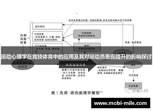 运动心理学在竞技体育中的应用及其对运动员表现提升的影响探讨