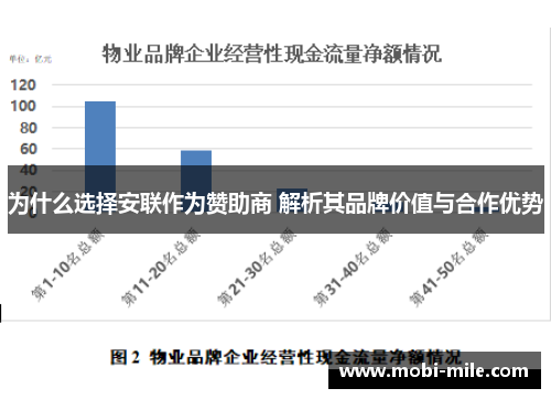 为什么选择安联作为赞助商 解析其品牌价值与合作优势 为什么选择安联作为赞助商 解析其品牌价值与合作优势
