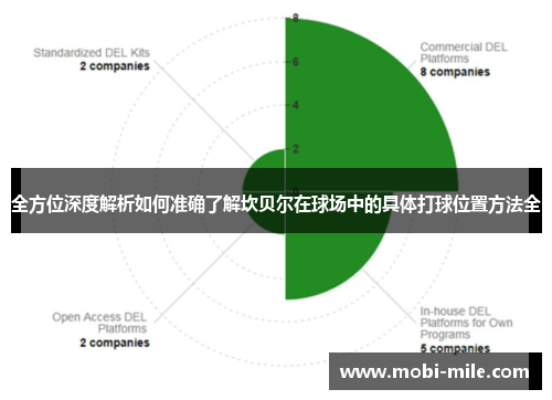 全方位深度解析如何准确了解坎贝尔在球场中的具体打球位置方法全 全方位深度解析如何准确了解坎贝尔在球场中的具体打球位置方法全