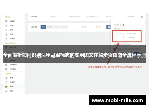 全面解析如何识别法甲冠军标志的实用图文详解步骤指南全流程手册