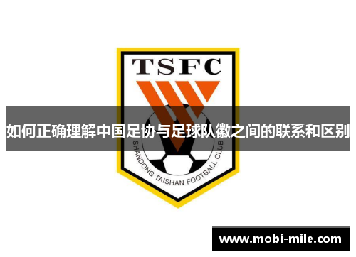 如何正确理解中国足协与足球队徽之间的联系和区别 如何正确理解中国足协与足球队徽之间的联系和区别