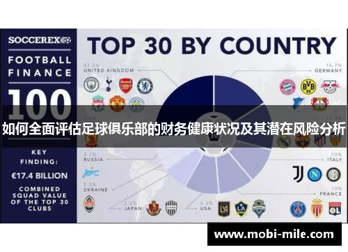 如何全面评估足球俱乐部的财务健康状况及其潜在风险分析