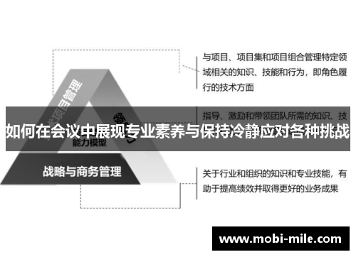 如何在会议中展现专业素养与保持冷静应对各种挑战