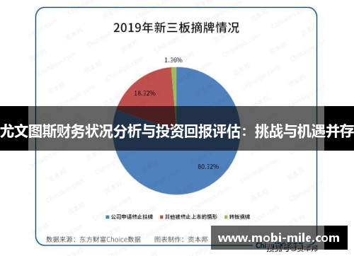 尤文图斯财务状况分析与投资回报评估：挑战与机遇并存