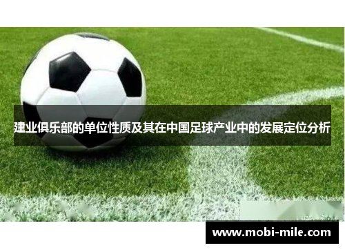 建业俱乐部的单位性质及其在中国足球产业中的发展定位分析