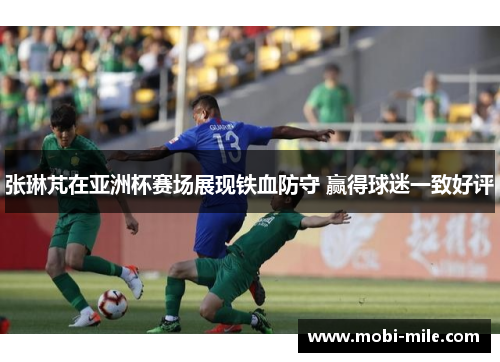 张琳芃在亚洲杯赛场展现铁血防守 赢得球迷一致好评