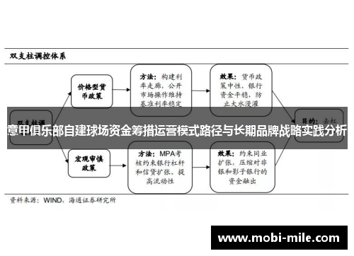 意甲俱乐部自建球场资金筹措运营模式路径与长期品牌战略实践分析 意甲俱乐部自建球场资金筹措运营模式路径与长期品牌战略实践分析