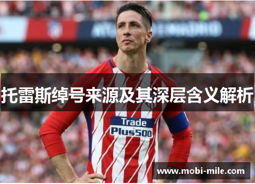 托雷斯绰号来源及其深层含义解析