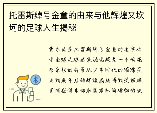 托雷斯绰号金童的由来与他辉煌又坎坷的足球人生揭秘